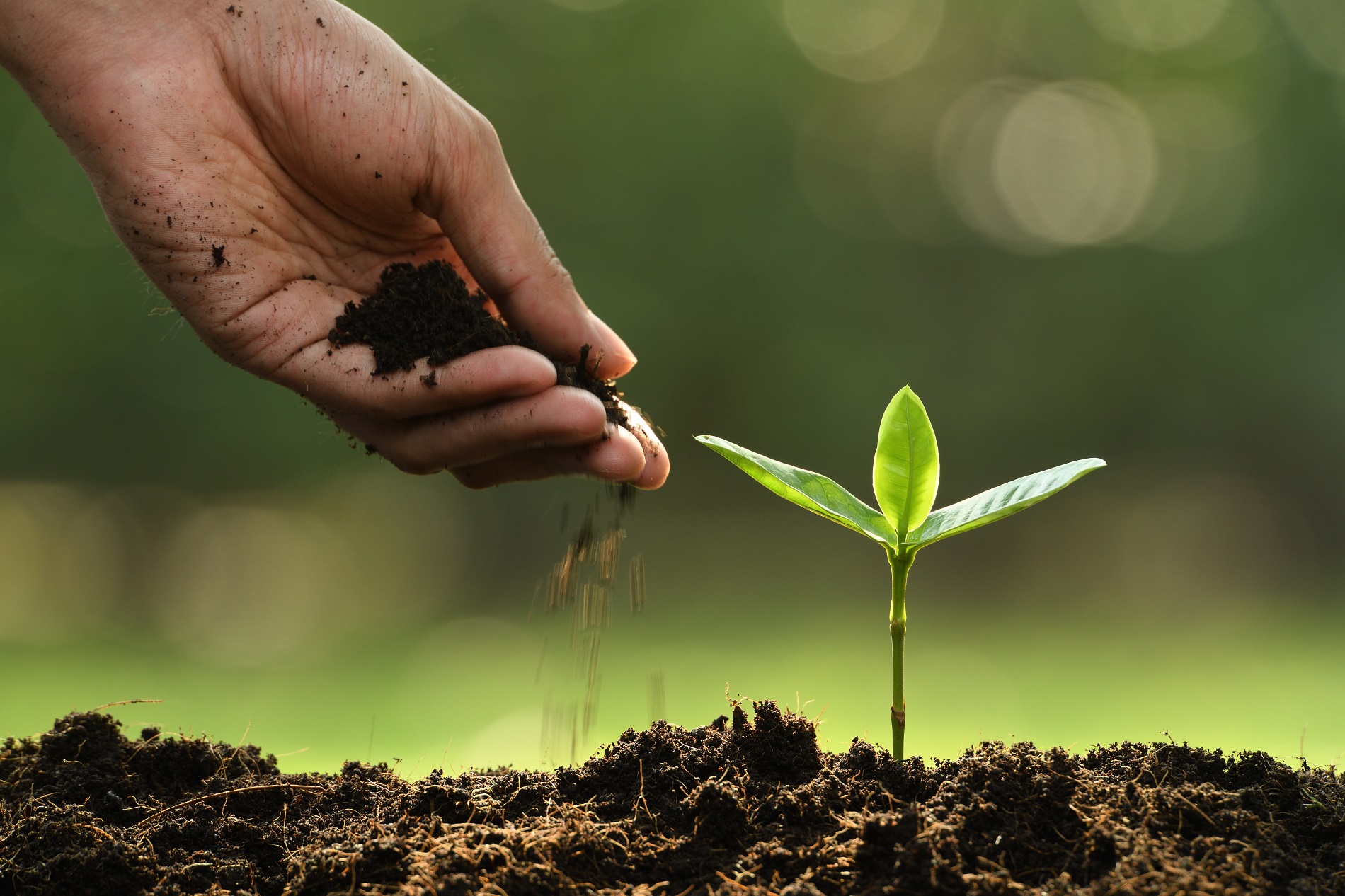 Agro CLEO Tech — campo tecnológico